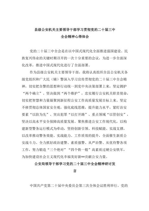 （11篇）县级公安机关主要领导干部学习贯彻党的二十三中全会精神心得体会（详细版）.docx