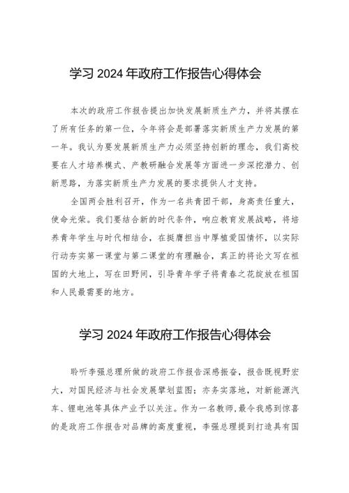 学习《2024年政府工作报告》简短发言40篇.docx