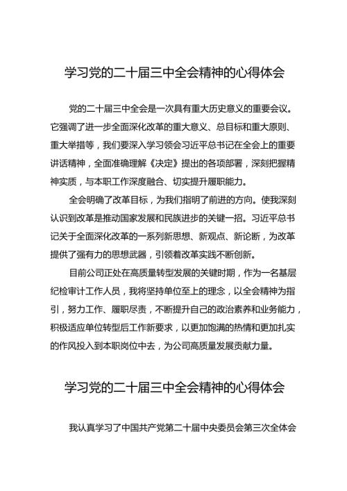 十五篇2024年学习贯彻党的二十三中全会心得体会.docx