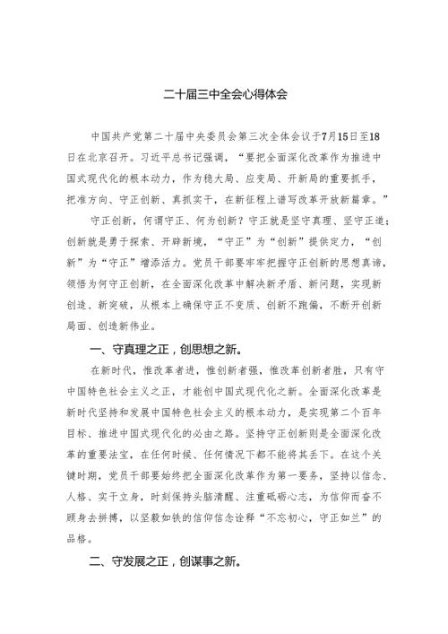 （8篇）二十三中全会心得体会（最新版）.docx