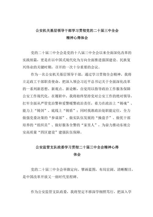 （11篇）公安机关基层领导干部学习贯彻党的二十三中全会精神心得体会范文.docx