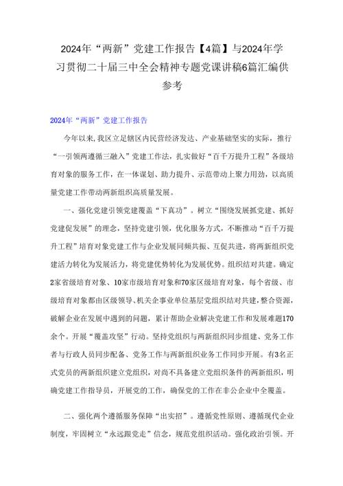 2024年“两新”党建工作报告【4篇】与2024年学习贯彻二十三中全会精神专题党课讲稿6篇汇编供参考.docx