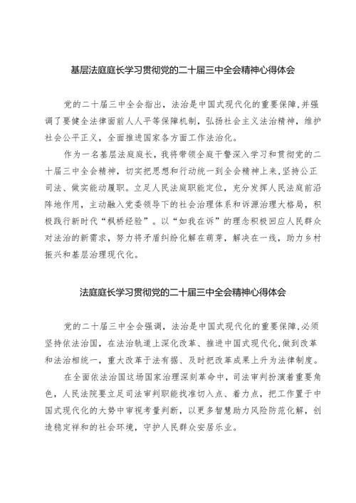基层法庭庭长学习贯彻党的二十三中全会精神心得体会7篇（精选版）.docx