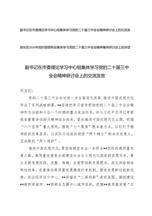 20242025年副书记、部长在学习党的二十三中全会精神研讨会上的交流发言.docx
