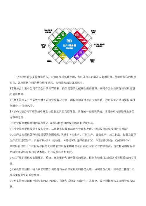 sap全面概述中文（推荐DOC90）.docx