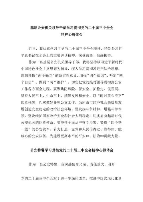 （11篇）基层公安机关领导干部学习贯彻党的二十三中全会精神心得体会完整版.docx