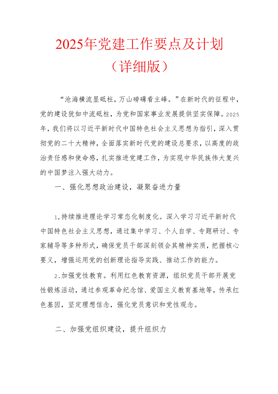 2025 年党建工作要点及计划（详细版）(1).docx_第1页