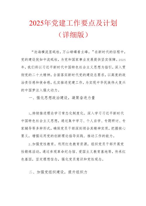 2025 年党建工作要点及计划（详细版）(1).docx