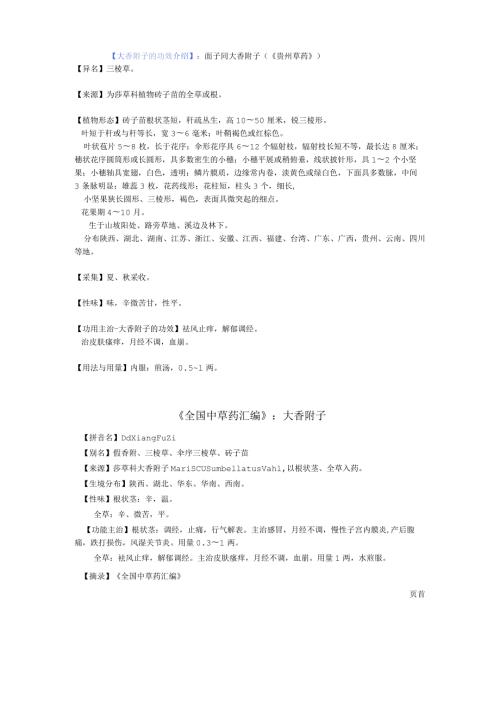 大香附子的功效介绍.docx