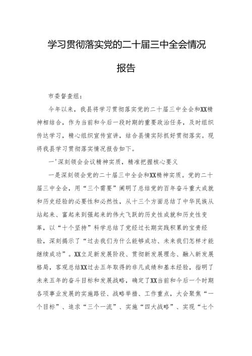 学习贯彻落实党的二十三中全会情况报告.docx