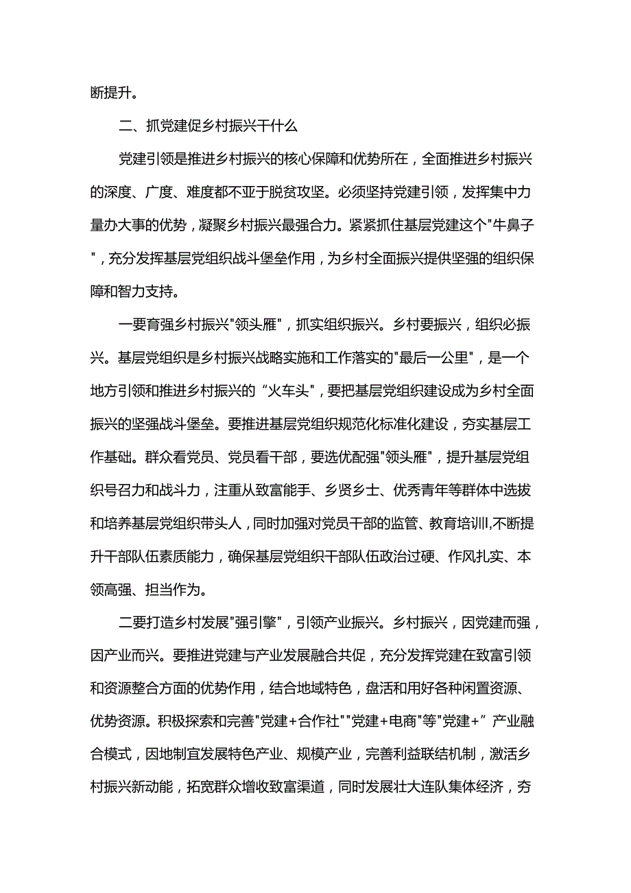 党建引领乡村振兴党课.docx_第3页