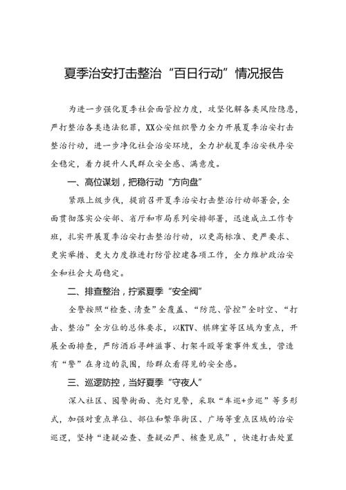 九篇2024年夏季治安打击整治行动工作总结.docx