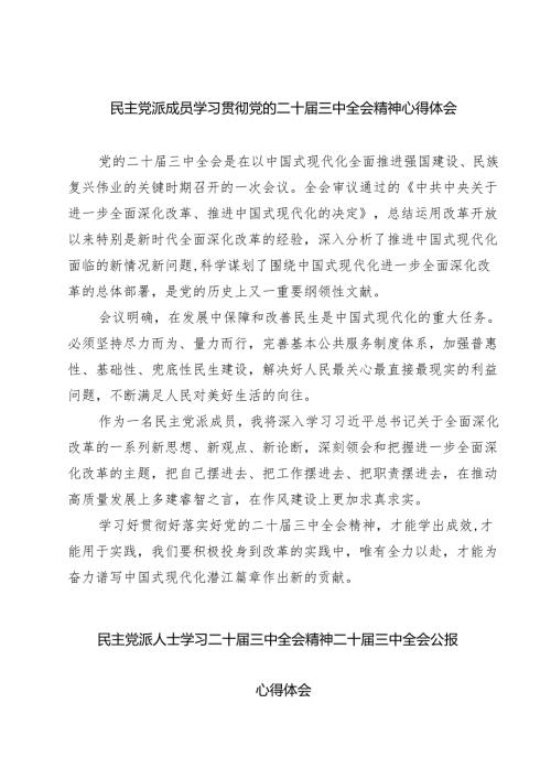 民主党派成员学习贯彻党的二十三中全会精神心得体会7篇（精选版）.docx
