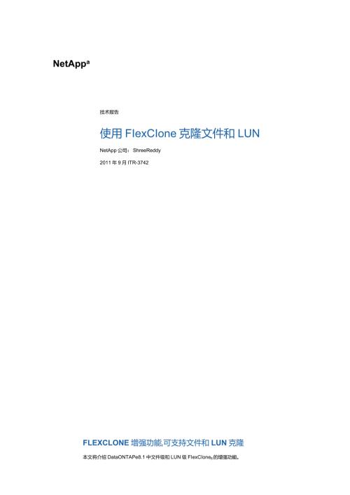 NetApp 技术报告使用 FlexClone 克隆文件和 LUN.docx