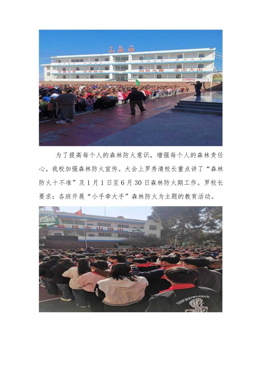 李子乡中心校森林防火专题报告简报(1).docx_第2页