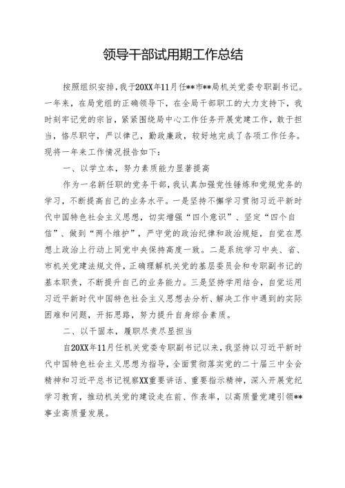 领导干部试用期工作总结.docx