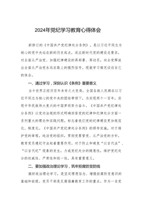2024年党纪教育活动研讨发言材料十七篇.docx