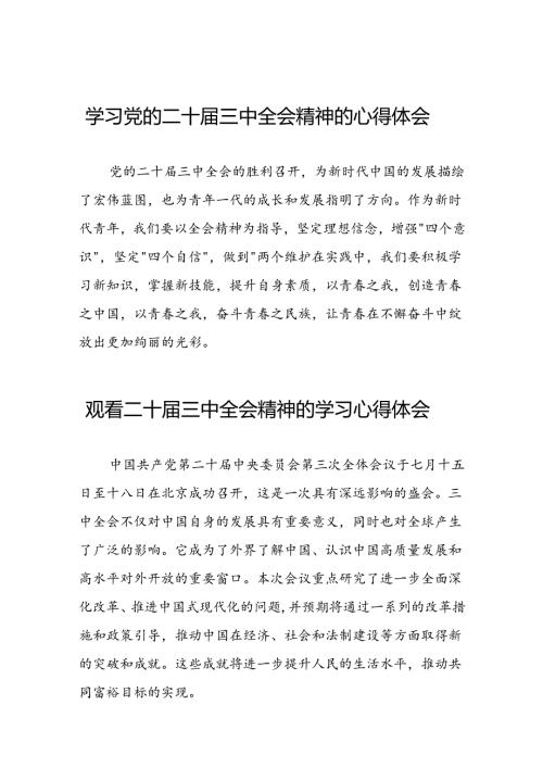党的二十三中全会精神学习心得体会发言稿四十篇.docx
