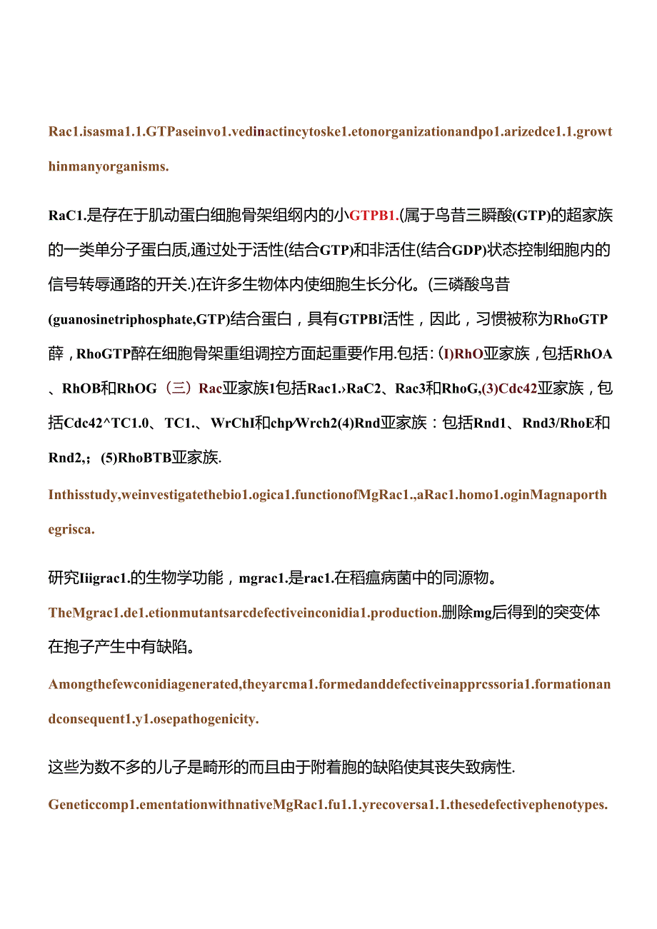 Rac1 is a small GTPase involved in actin cytoskeleton organization and polarized cell growth in many organisms..docx_第1页