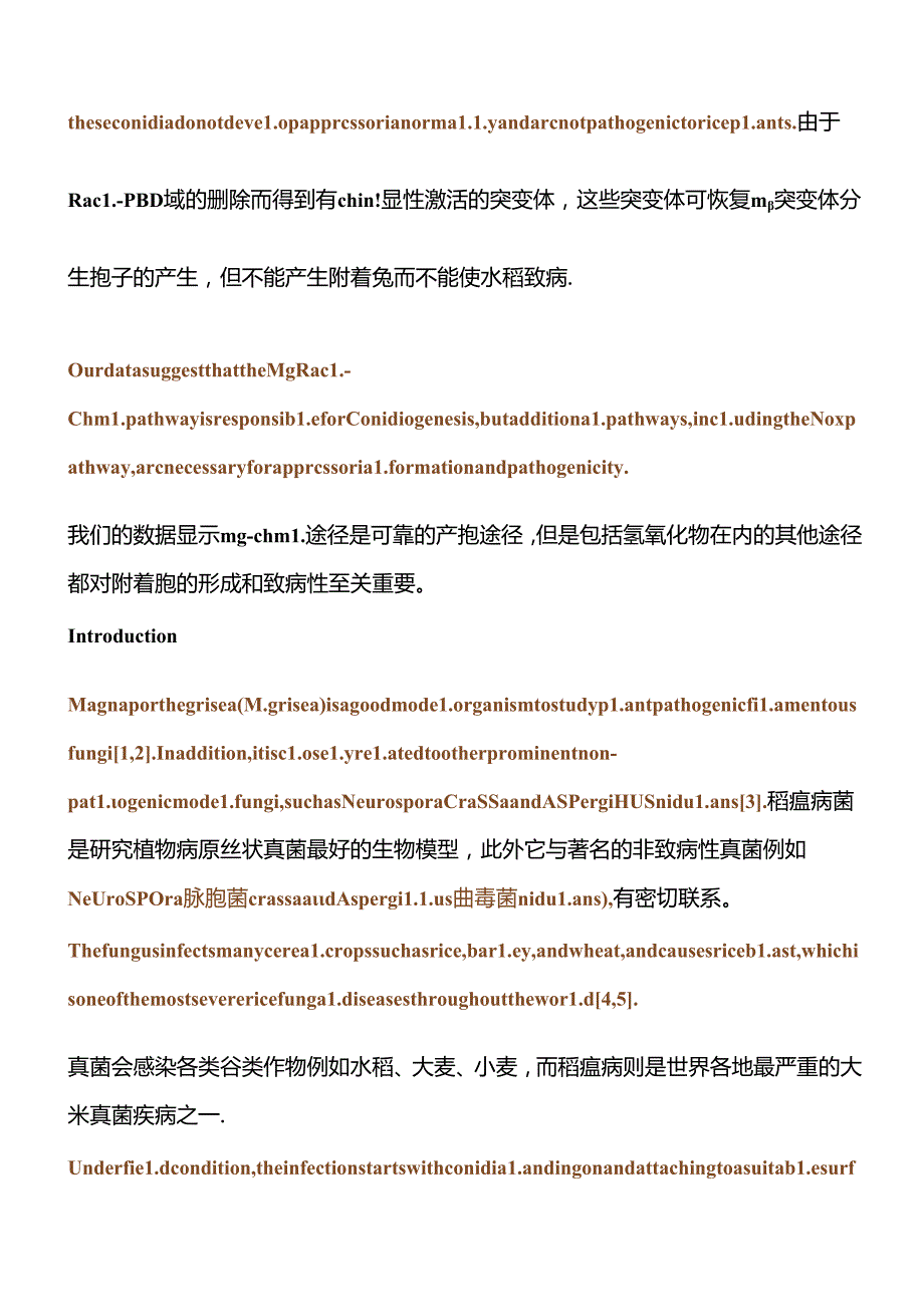 Rac1 is a small GTPase involved in actin cytoskeleton organization and polarized cell growth in many organisms..docx_第3页