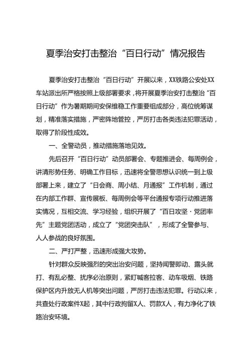 十二篇公安2024年夏季治安打击整治情况报告.docx