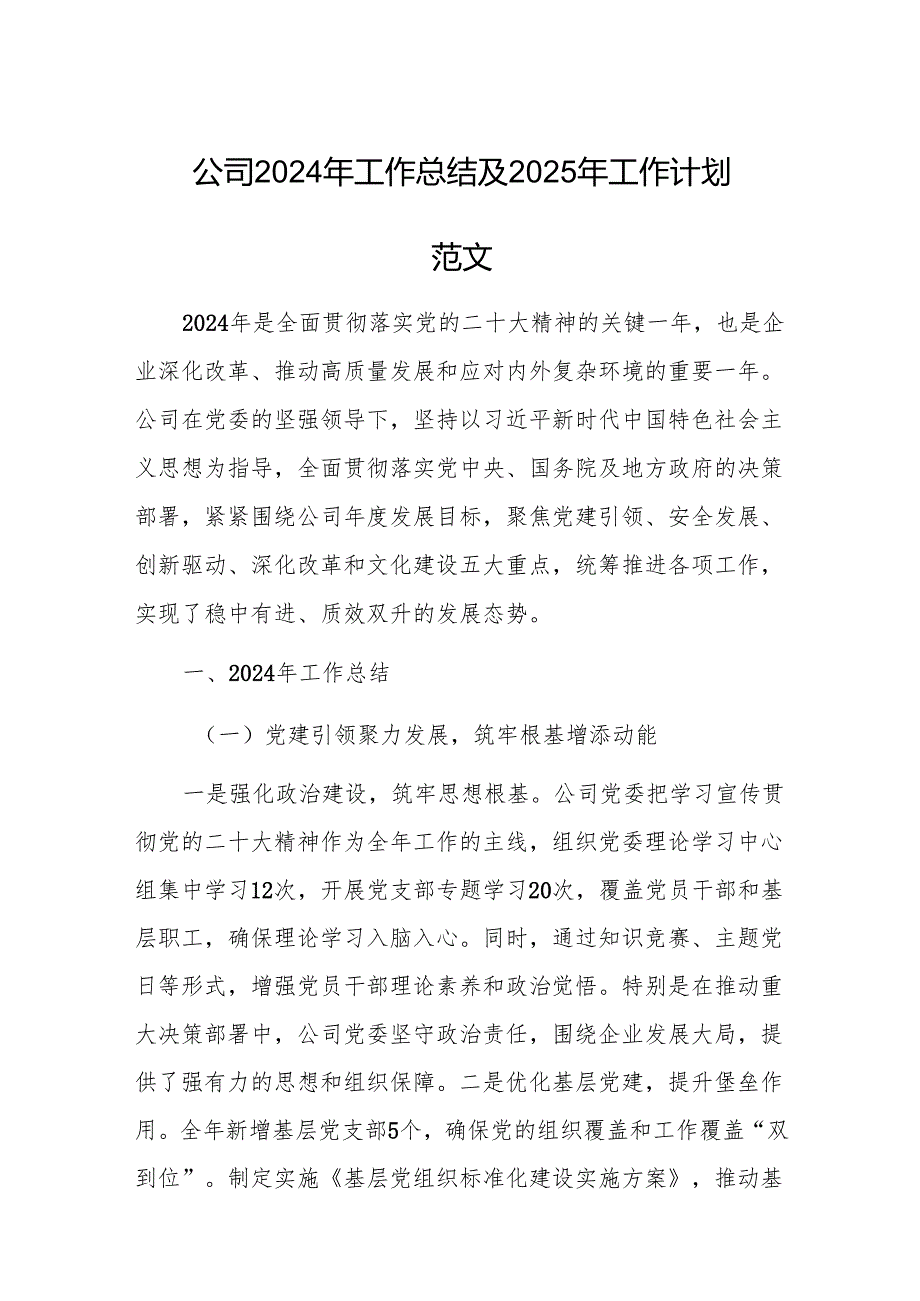 公司2024年工作总结及2025年工作计划范文.docx_第1页