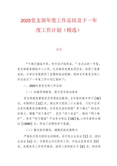 2025党支部工作总结及下一工作计划（精选）.docx