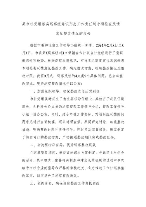 某市社党组落实巡察组意识形态工作责任制专项检查反馈意见整改情况的报告.docx