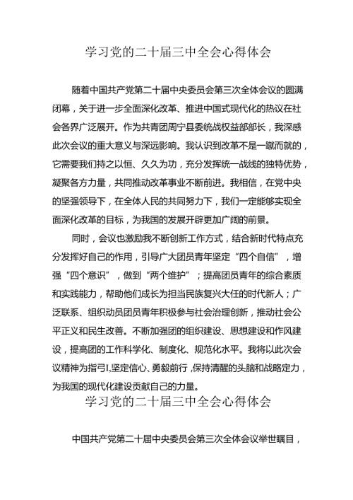 学习2024年党的二十三中全会心得体会 （汇编17份）.docx