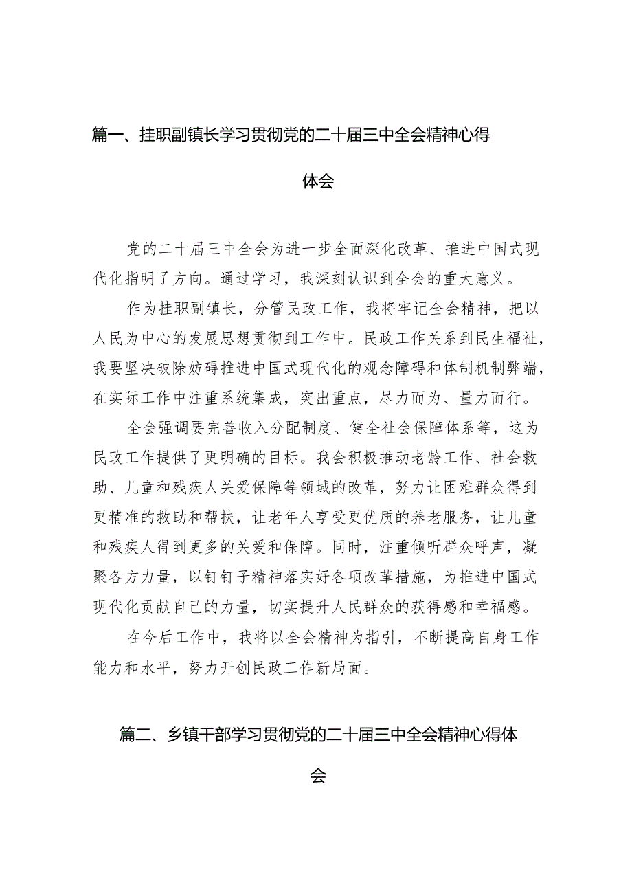 （11篇）挂职副镇长学习贯彻党的二十三中全会精神心得体会（详细版）.docx_第2页