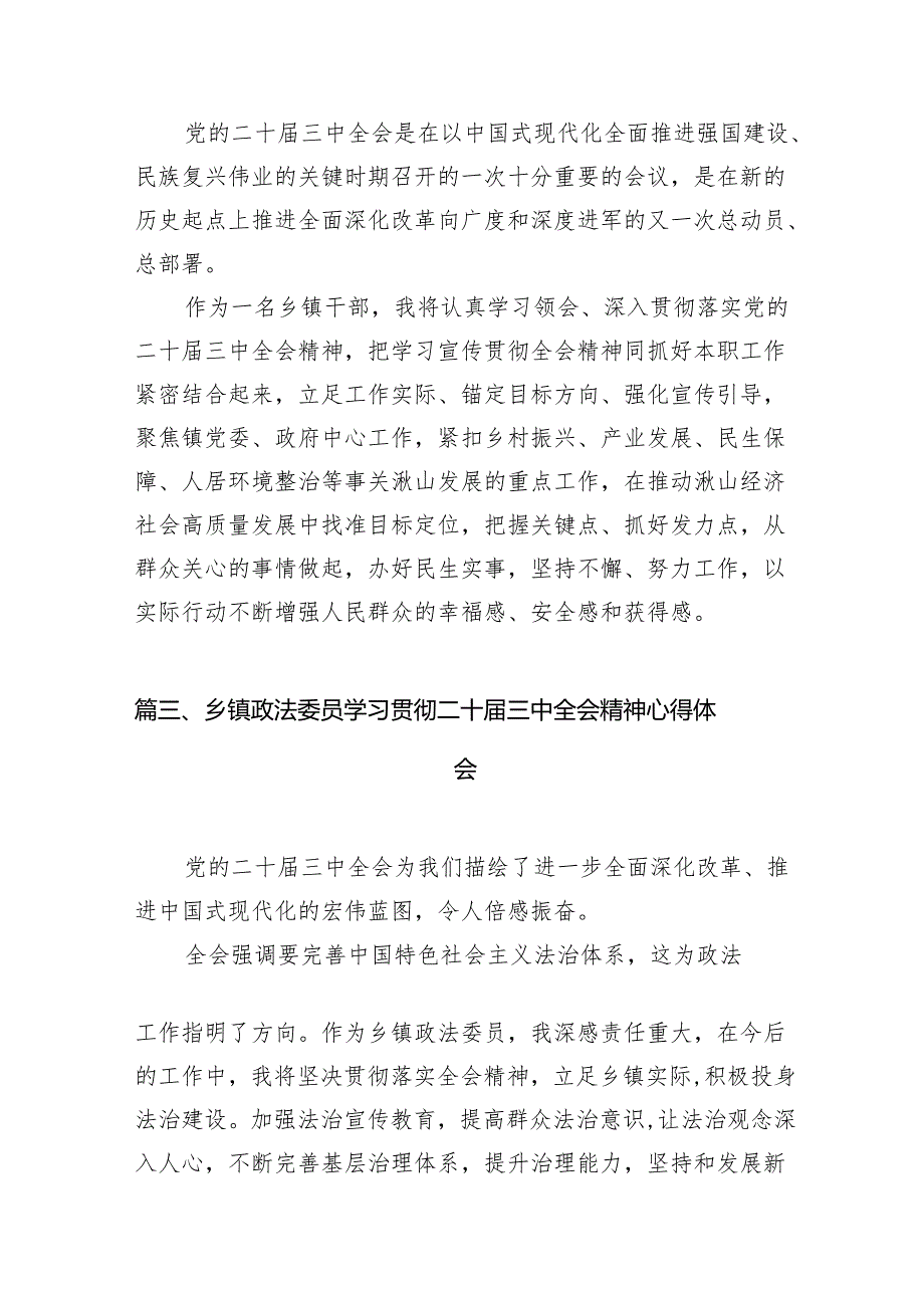 （11篇）挂职副镇长学习贯彻党的二十三中全会精神心得体会（详细版）.docx_第3页