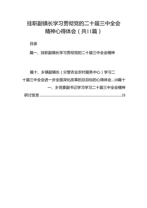 （11篇）挂职副镇长学习贯彻党的二十三中全会精神心得体会（详细版）.docx