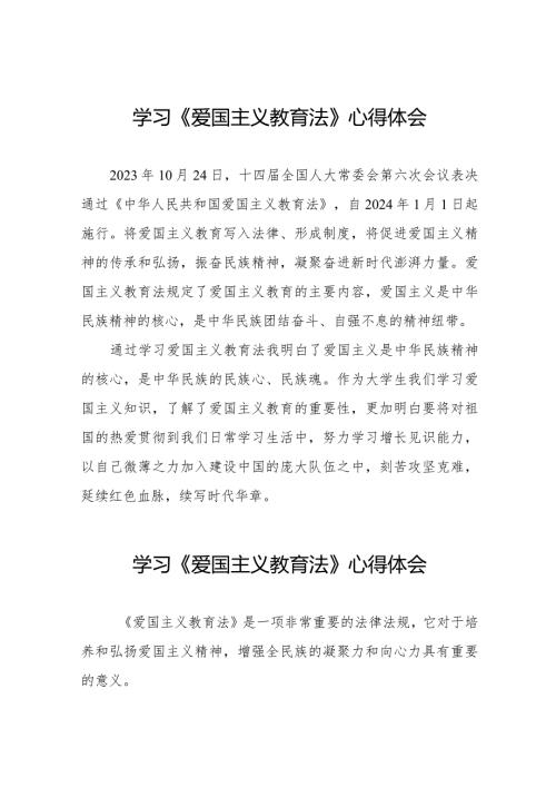 爱国主义教育法学习感悟七篇.docx