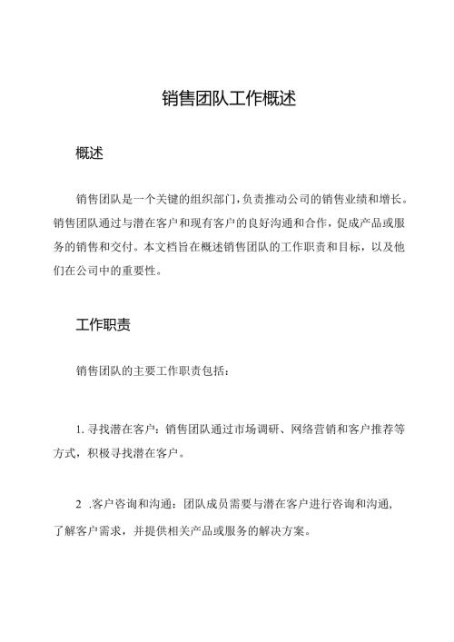 销售团队工作概述.docx