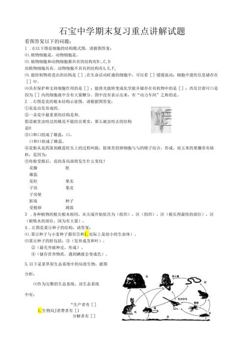 石宝中学期末复习重点讲解试题2.docx