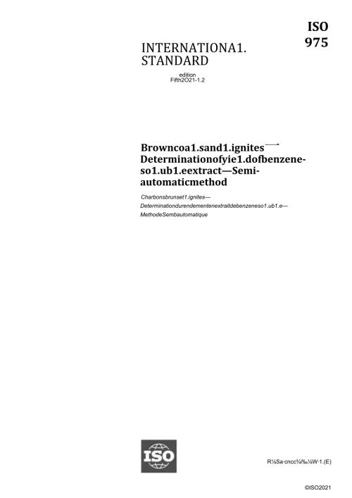 ISO 009752021.docx