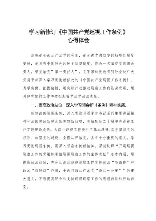 2024年学习新修订《中国共产党巡视工作条例》心得体会优秀范文7篇.docx