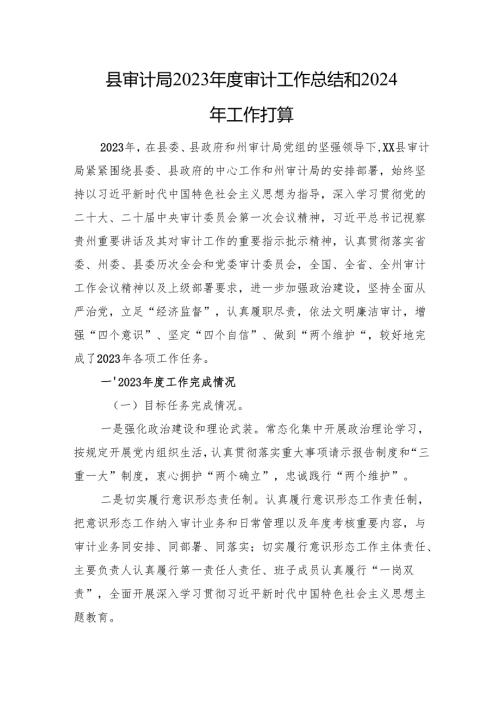 县审计局2023审计工作总结和2024年工作打算(20240119).docx
