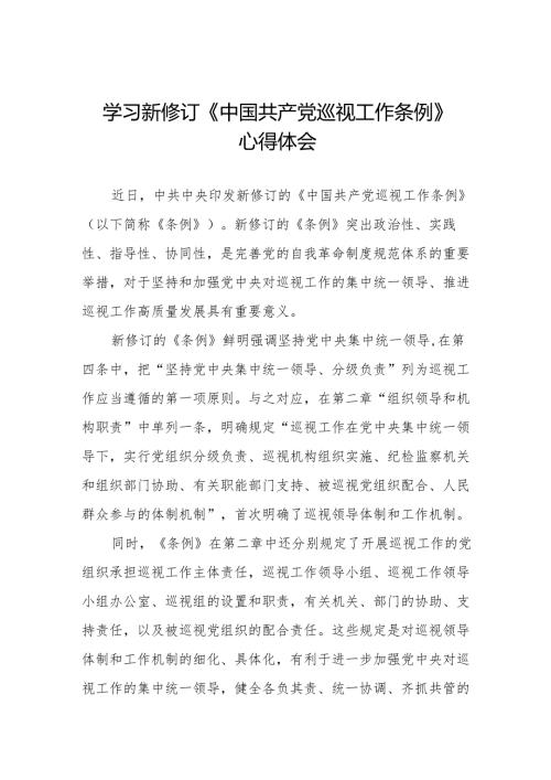 纪检巡察干部学习2024版新修订中国共产党巡视工作条例的心得体会(五篇).docx