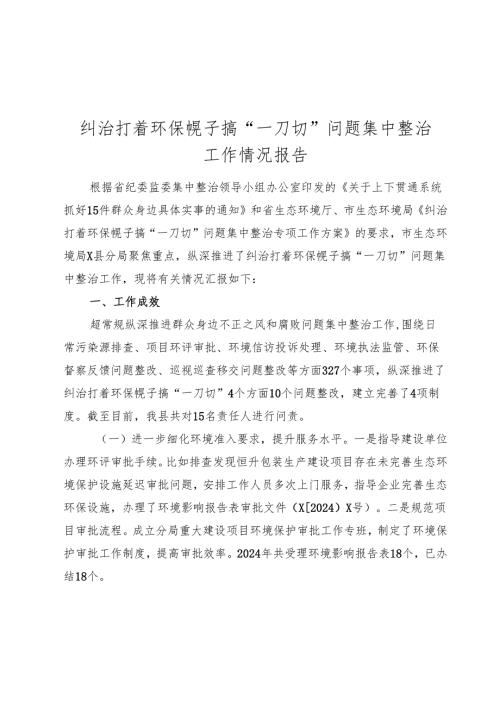 纠治打着环保幌子搞“一刀切”问题集中整治工作情况报告(2).docx