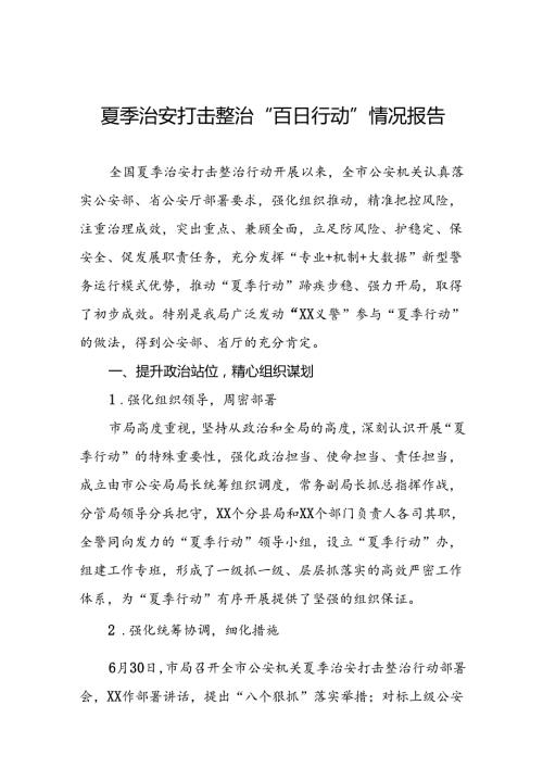 派出所开展2024年夏季治安打击整治“百日行动”情况总结报告十六篇.docx