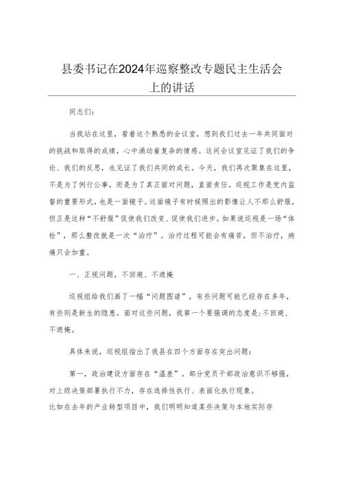 县委书记在2024年巡察整改专题民主生活会上的讲话.docx