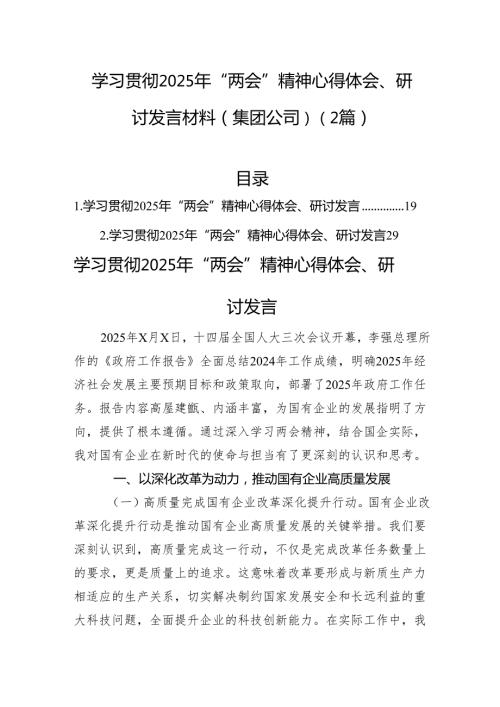 学习贯彻2025年“两会”精神心得体会、研讨发言材料（集团公司）（2篇）.docx