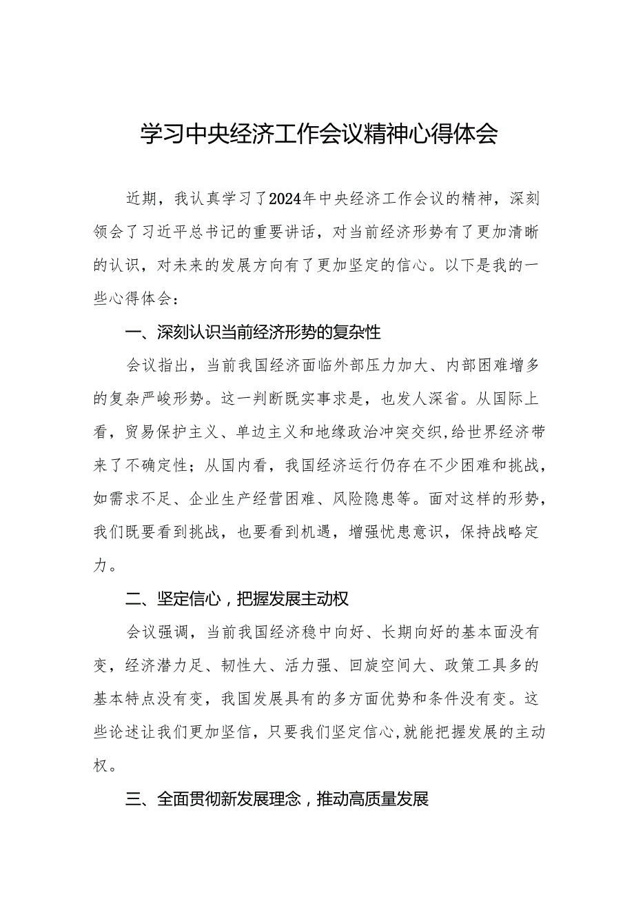 学习2024年中央经济工作会议精神心得体会个人发言材料十篇.docx_第1页