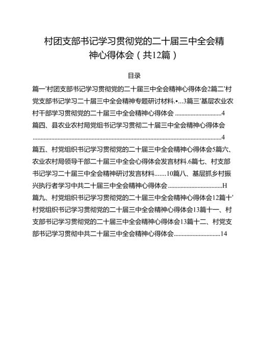 村团支部书记学习贯彻党的二十三中全会精神心得体会12篇（详细版）.docx