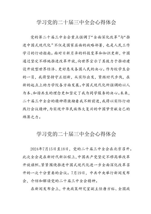学习2024年党的二十三中全会个人心得体会 汇编17份.docx