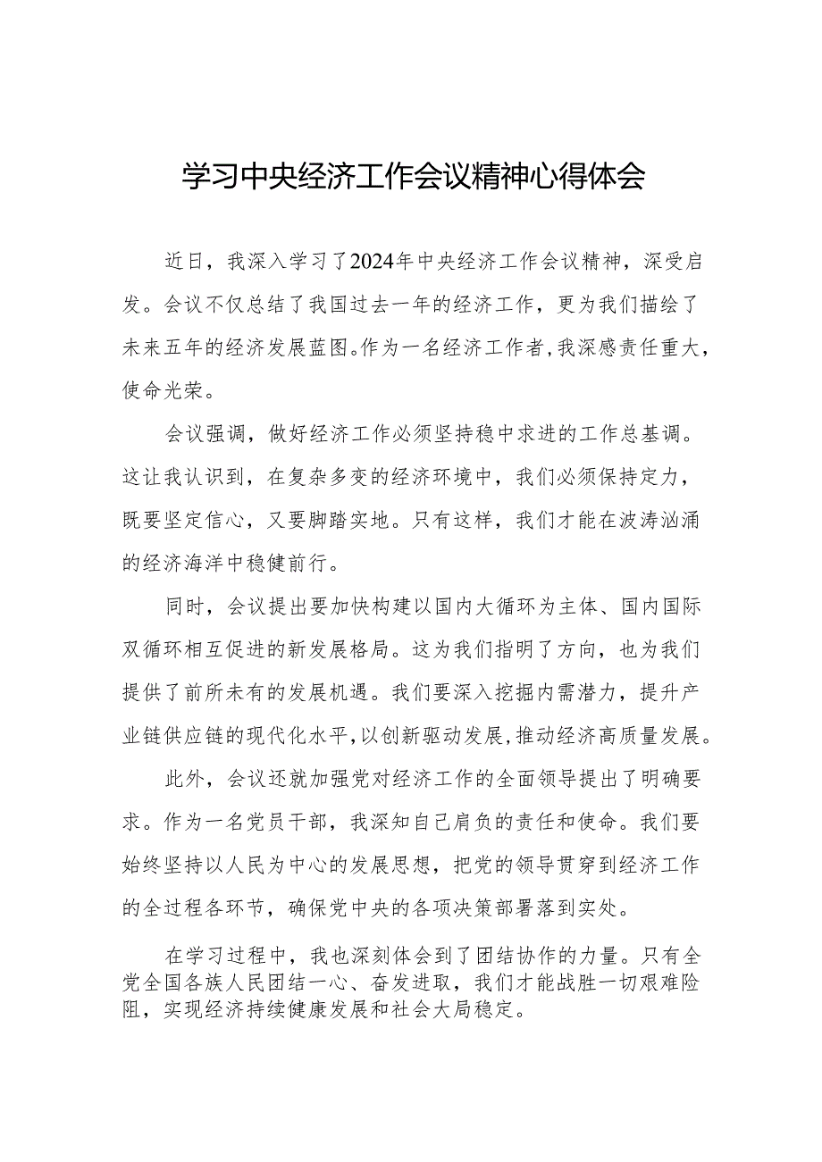 九篇2024年中央经济工作会议精神学习感悟发言材料.docx_第1页
