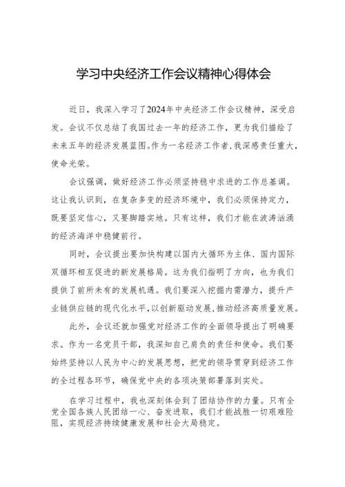 九篇2024年中央经济工作会议精神学习感悟发言材料.docx