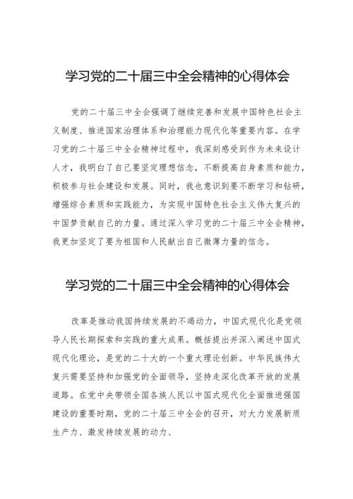 党员干部关于二十三中全会精神的心得体会发言稿36篇.docx