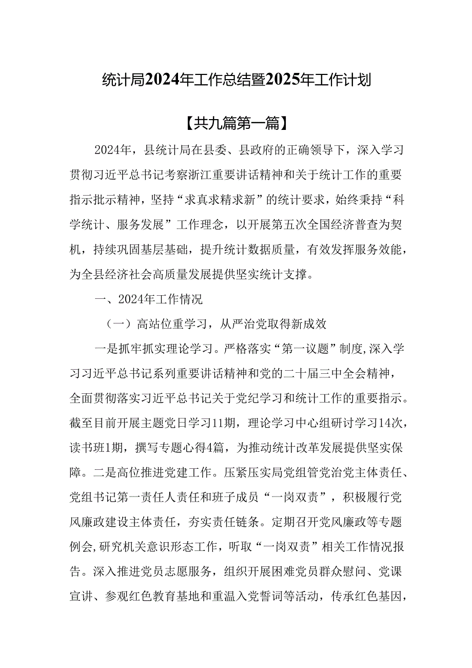 （9篇）统计局2024年工作总结暨2025年工作计划.docx_第1页